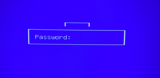 Captura de pantalla 2026-02-25 204534.png