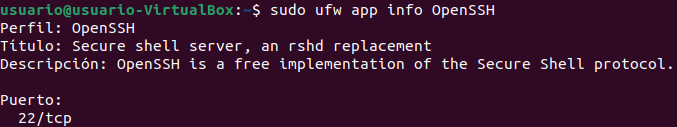 Informacion detallada del perfil OpenSSH con puertos configurados en UFW
