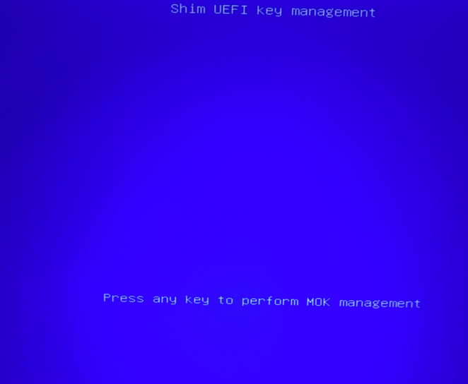 Captura-de-pantalla-2026-02-25-203902.png